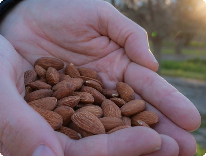 sustainability almonds
